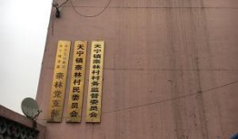 3名镇干部爆料案件最新,真相背后惊心动魄！”